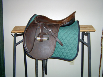 18inch_Courbette_Dressage_4MS