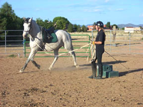 Grandy_and_Lisa_Lunging_Mira_Site