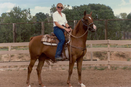 Wild_Cherry_under_saddle
